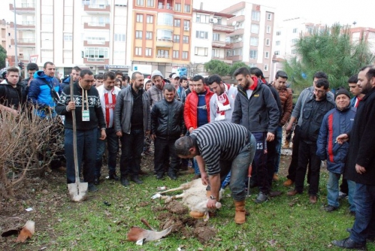 Taraftarlardan Tadilatı Tamamlanan Stada Kurban