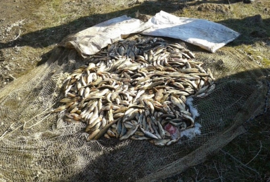 Kaçak Avlanan Balıkçılar Jandarmaya Yakalandı