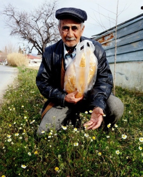 Ocak Ayında Papatyalar Açtı