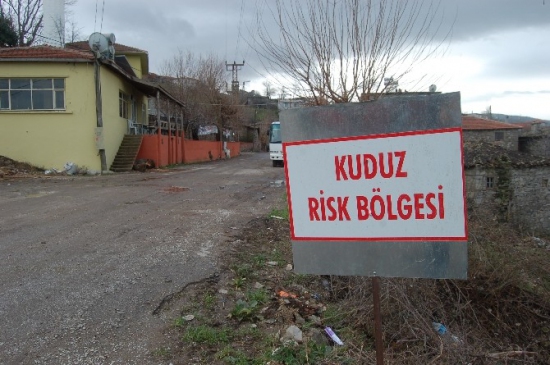 Çanakkale'de Kuduz Karantinası