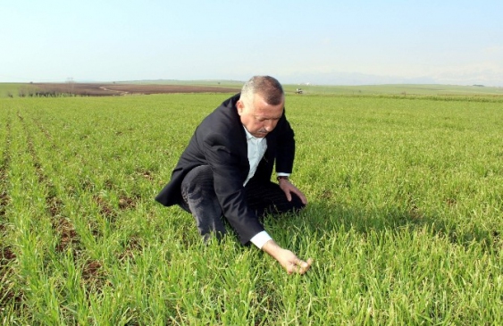 Çiftçi Desteklemenin Artacak Olmasına Seviniyor