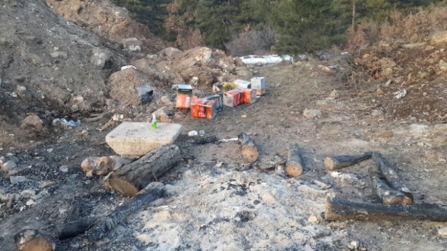 Seyitgazi'de İzinsiz Kazı Yapan 8 Kişi Yakalandı