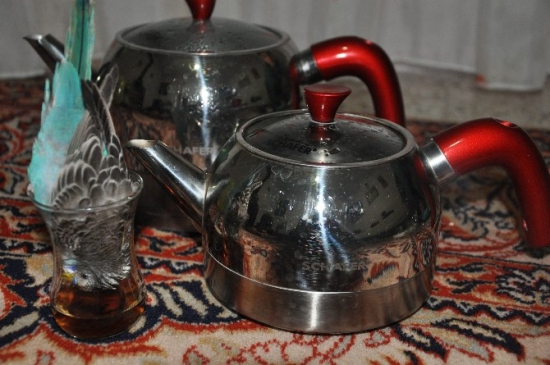 Çaykolik Muhabbet Kuşu Görenleri Şaşırttı