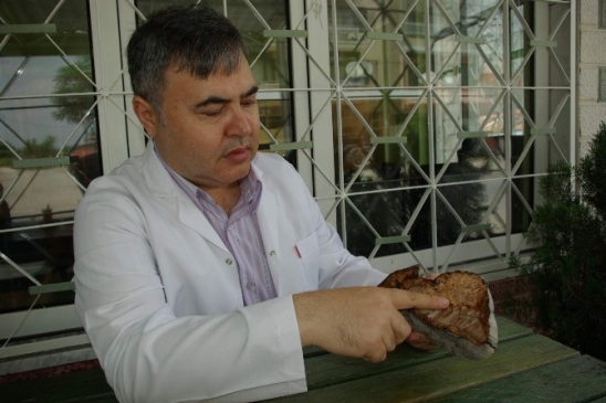 Herbalist Güngör Mantarları Mercek Altına Aldı