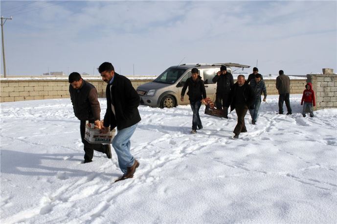 Köye inmesinler diye yaban hayvanlarını besliyorlar