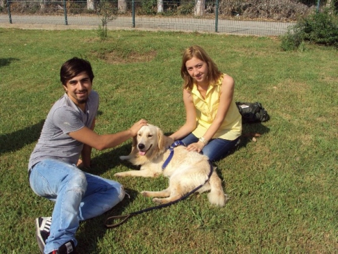 Konyaaltı'nda 52 Sokak Hayvanı Sıcak Yuvaya Kavuştu