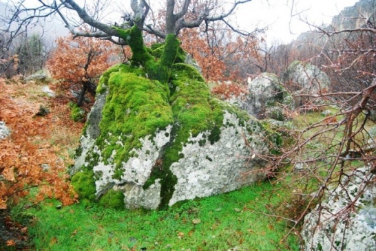 İHA'nın Haberi SES Getirdi