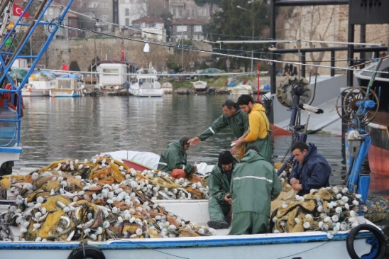 Sinop Limanı'nda “Oksail” Avı