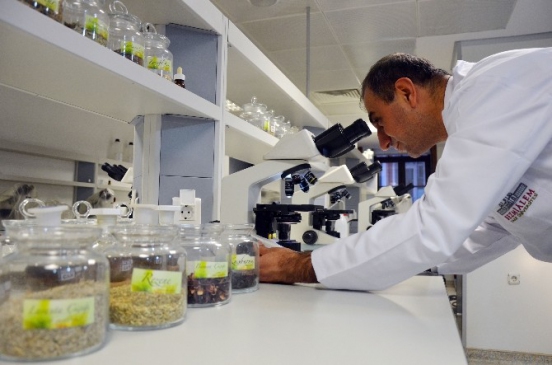 (Özel Haber) 500 Bitki Sanayiye Kazandırılacak