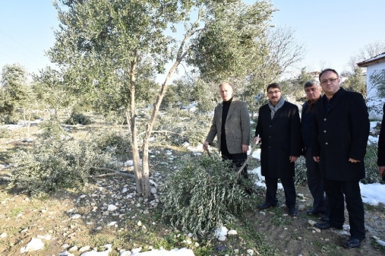 Şehzadeler'den Çiftçilere Müjdeli Haber