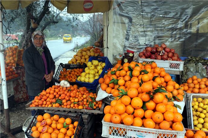 Lodos, narenciyeyi de vurdu