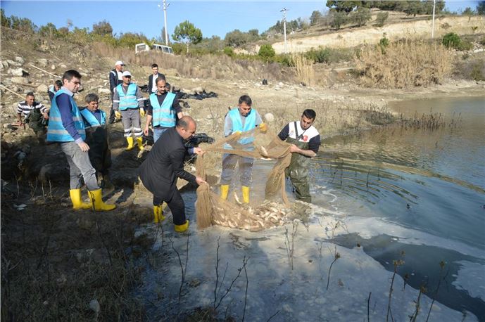 Adana'da kanalda mahsur kalan balıklar kurtarıldı