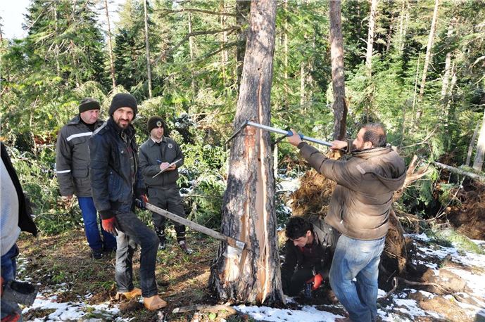 Kastamonu'daki fırtına