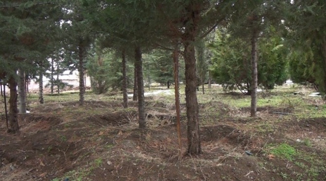 Yazıkonak Beldesi'nde Doğa Ve Çevre Koruma Derneği Kuruldu