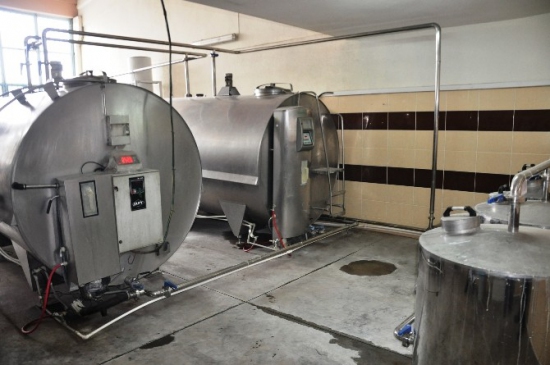 Zile'de 33 Köyden Günlük 5 Ton Süt Toplanıyor