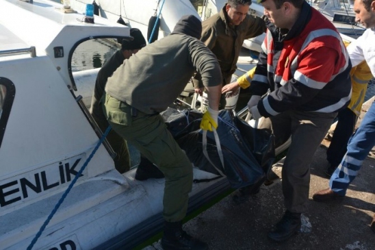 Kayıp Şahıs Denizde Ölü Bulundu