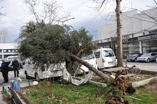 Lodos Hayatı Felç Etti