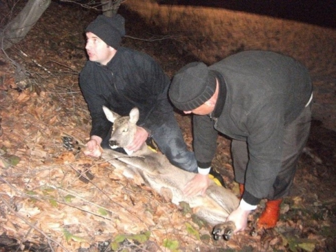 Dereye DÜşen Yavru Karacayı İtfaiye Kurtardı