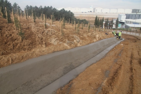 Büyükşehir 800 Bin Ağacın Dikileceği Yerleri Belirledi