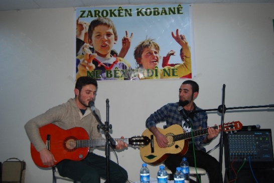 İdil'de Dayanışma Konseri Verildi