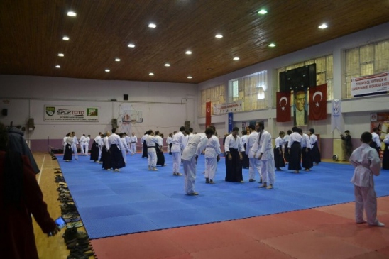 Bilecik'te 2 Günlük Aikido Eğitimi Sona Erdi