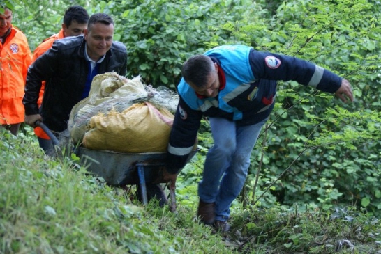 Ordu'da 320 Kg Balık İmha Edildi