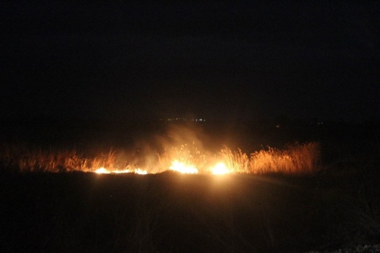 Beyşehir'de Sazlık Yangını