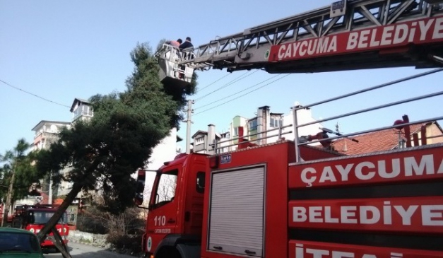 Çaycuma İtfaiyesi Fırtına İhbarlarını Değerlendirdi