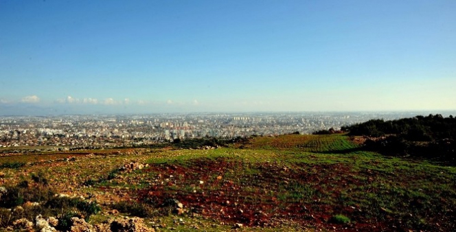 Simge Proje Ortak Akılla Yapılacak