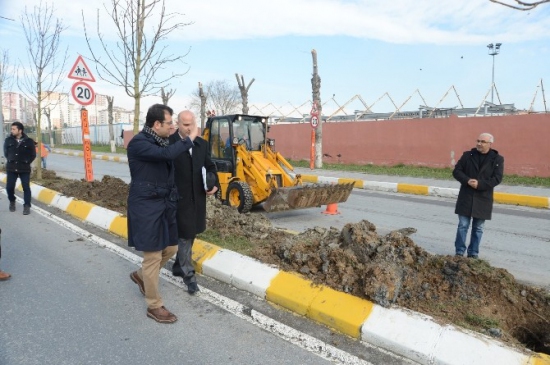 Beylikdüzü Baştan Sona Ağaçlandırılıyor