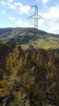 Yedaş'tan ‘Yangın' Açıklaması