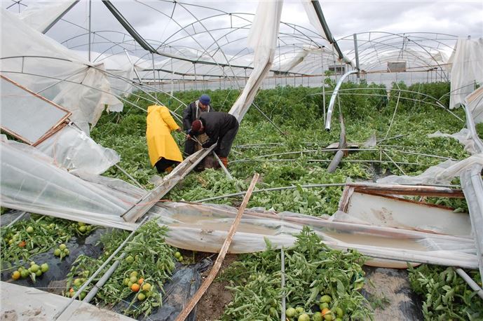 Mersin'de fırtına ve hortum hayatı olumsuz etkiledi
