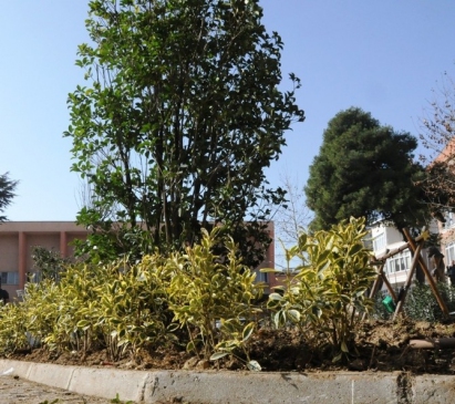 Süleymanpaşa'da Parklar Her Dönem Yeşil Kalacak