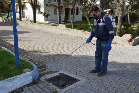 Foça'da Haşereye Geçit Yok