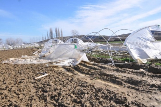 Lodostan Seraları Etkilenen Çiftçilere Tekirdağ Büyükşehir Belediyesinden Destek
