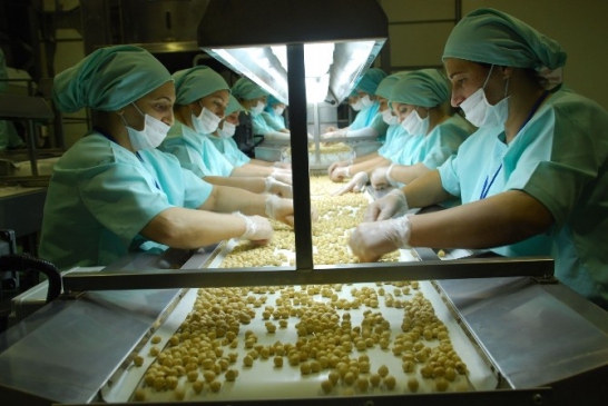 Düzce'den 30 Bin 718 Ton İç Fındık 14 Bin 252 Ton Tavuk Ayağı İhracatı Yapıldı