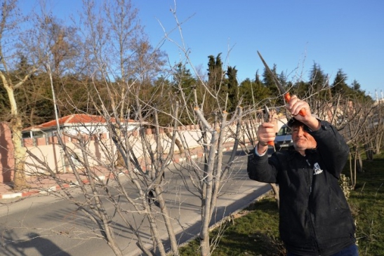 Bilecik Belediyesi Ekiplerinin Temizlik Ve Bakım Çalışmaları