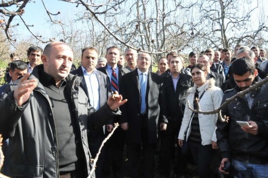 Çiftçilere Meyve Budama Kursu