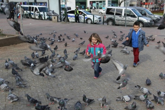 (Özel Haber) Güvercinler Çocukların Neşe Kaynağı