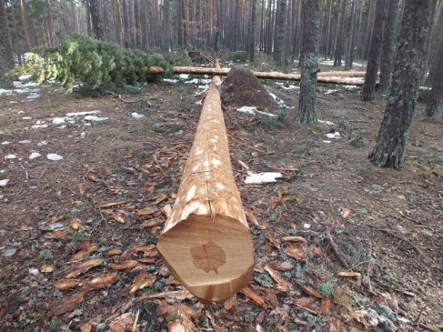 Taşköprü'de Üretim Hız Kazandı
