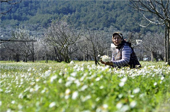 Yurtta kar, Bodrum'da bahar