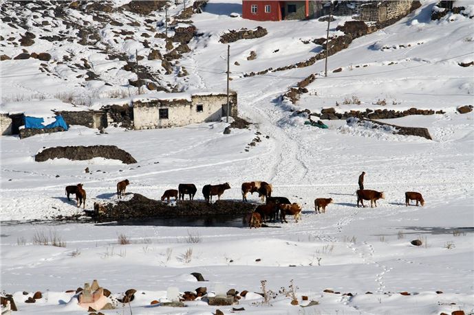 Ardahan'da kış