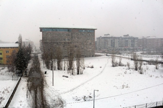Ağrı'da Yoğun Kar Yağışı