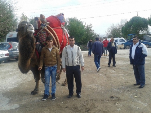Çan Deveciler Derneğinden Engelli Aracı İçin Güreş