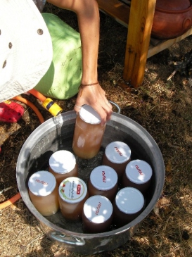 Taşköprü'lü Hanımlar Kışa Hazırlanıyor