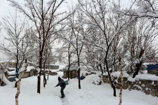 Ağrı'da Kartpostallık Manzaralar