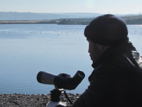 Şanlıurfa'da Da Kuşlara Nüfüs Sayımı Yapıldı