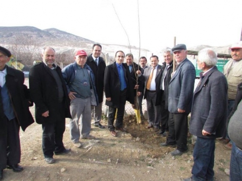 Köylerde Fidan Seferberliği