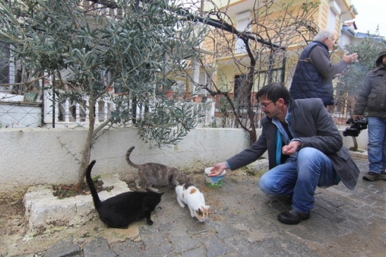 Sokak Hayvanlarına Mama Desteği