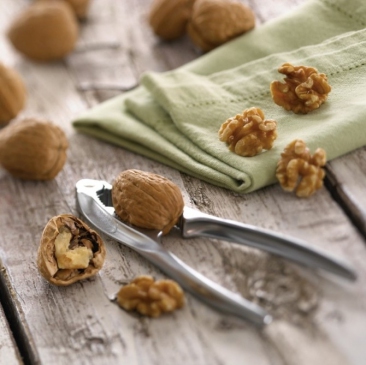 Güçlü Bir Hafıza İçin Ceviz